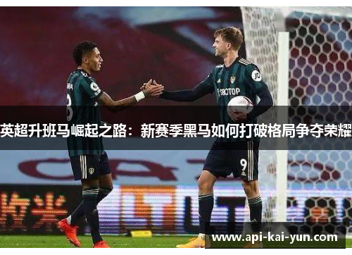 英超升班马崛起之路:新赛季黑马如何打破格局争夺荣耀 英超升班马崛起之路:新赛季黑马如何打破格局争夺荣耀