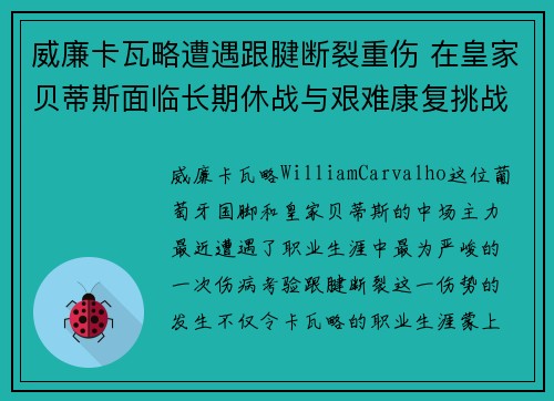 威廉卡瓦略遭遇跟腱断裂重伤 在皇家贝蒂斯面临长期休战与艰难康复挑战